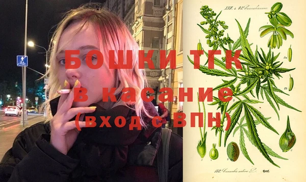 крисы Алексин