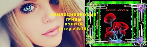 МДПВ Алзамай