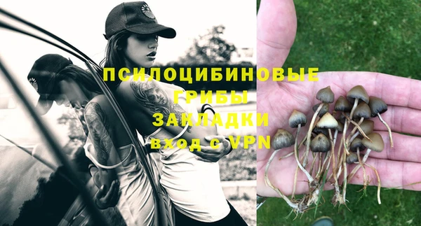 крисы Алексин