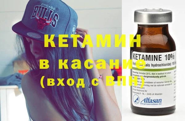 крисы Алексин