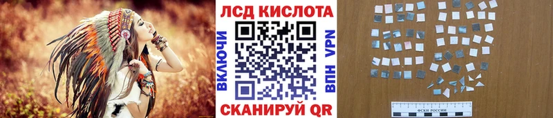 Марки N-bome 1500мкг  Лесной 