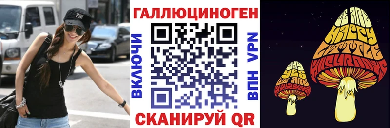 Псилоцибиновые грибы Psilocybe  Лесной 