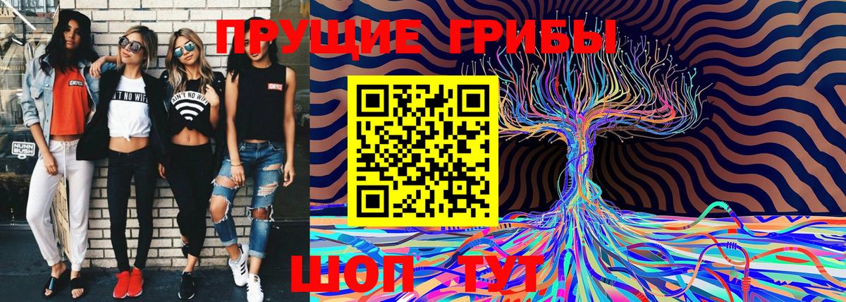 Галлюциногенные грибы Psilocybine cubensis Лесной
