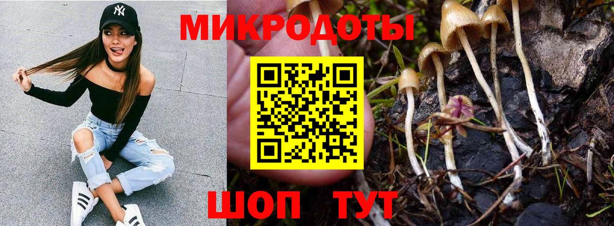 Псилоцибиновые грибы Cubensis  Вход с VPN  Галлюциногенные грибы ЛСД  Лесной 